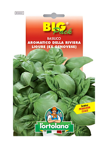 Basilico Genovese