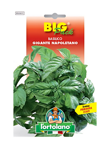 Basilico Gigante Napoletano