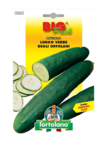 Long Green Cucumber