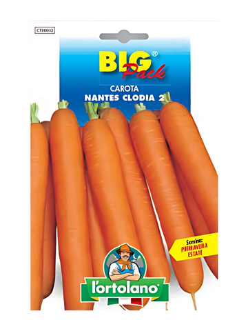 Carota