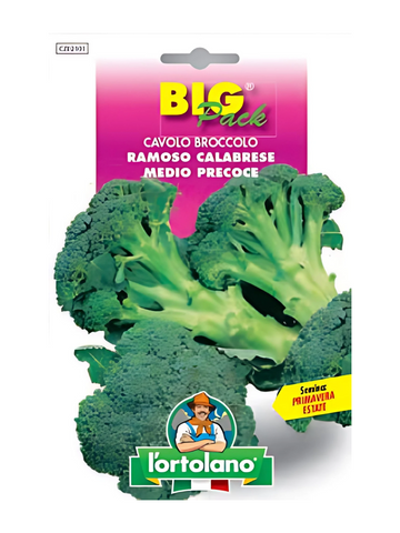 Cavolo Broccolo Ramoso Calabrese