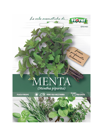 Menta