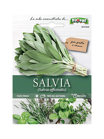 Salvia