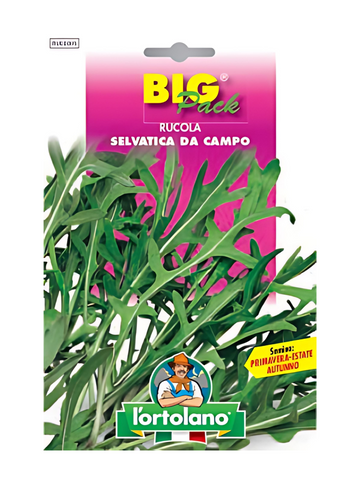 Rucola Selvatica Da Campo