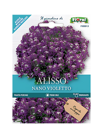 Violet Dwarf Alyssum