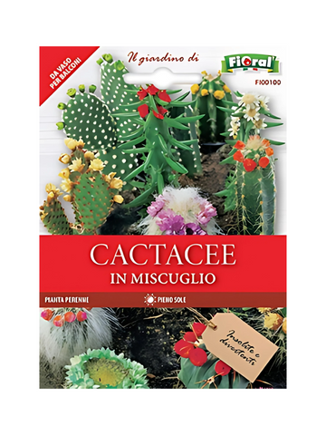 Cacti