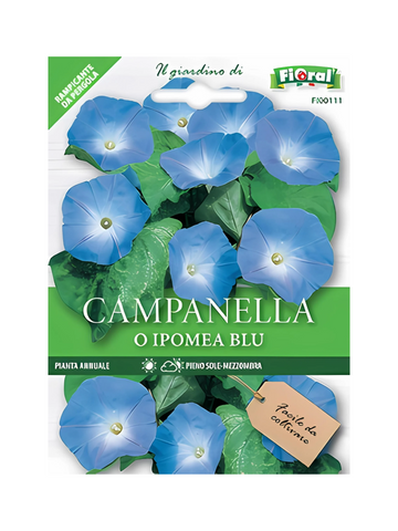 Campanella or Blue Ipomea 