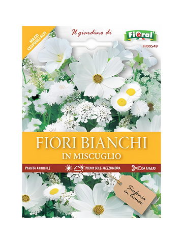 Fiori Bianchi