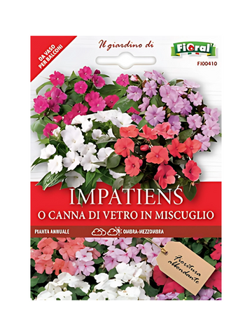 Impatiens o Canna Di Vetro