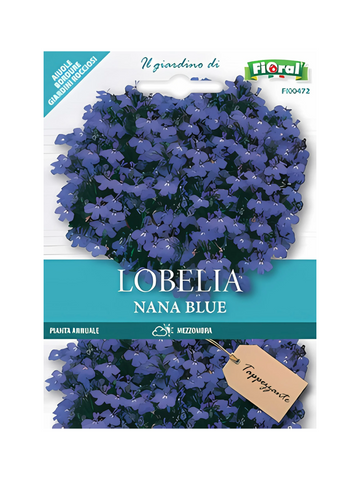 Lobelia Nana Blue