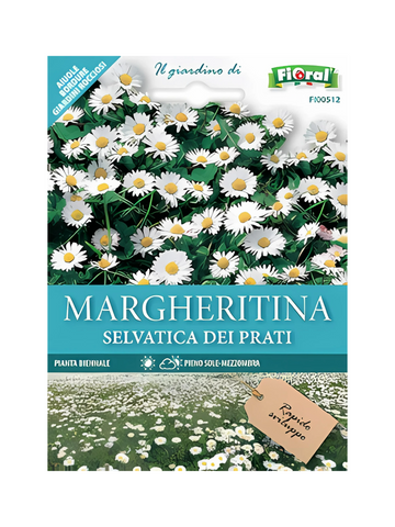 Margheritina Selvatica Dei Prati