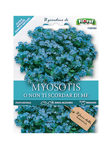 Myosotis O Non Ti Scordar Di Me