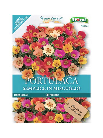 Portulaca Semplice