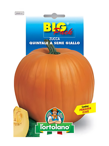 Zucca Quintale A Seme Giallo